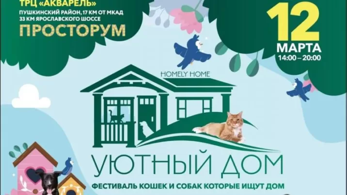 blagotvoritelnyj-festival-ujutnyj-dom-projdet-v-pushkino-944e592-716x403 Новости Ивантеевки 